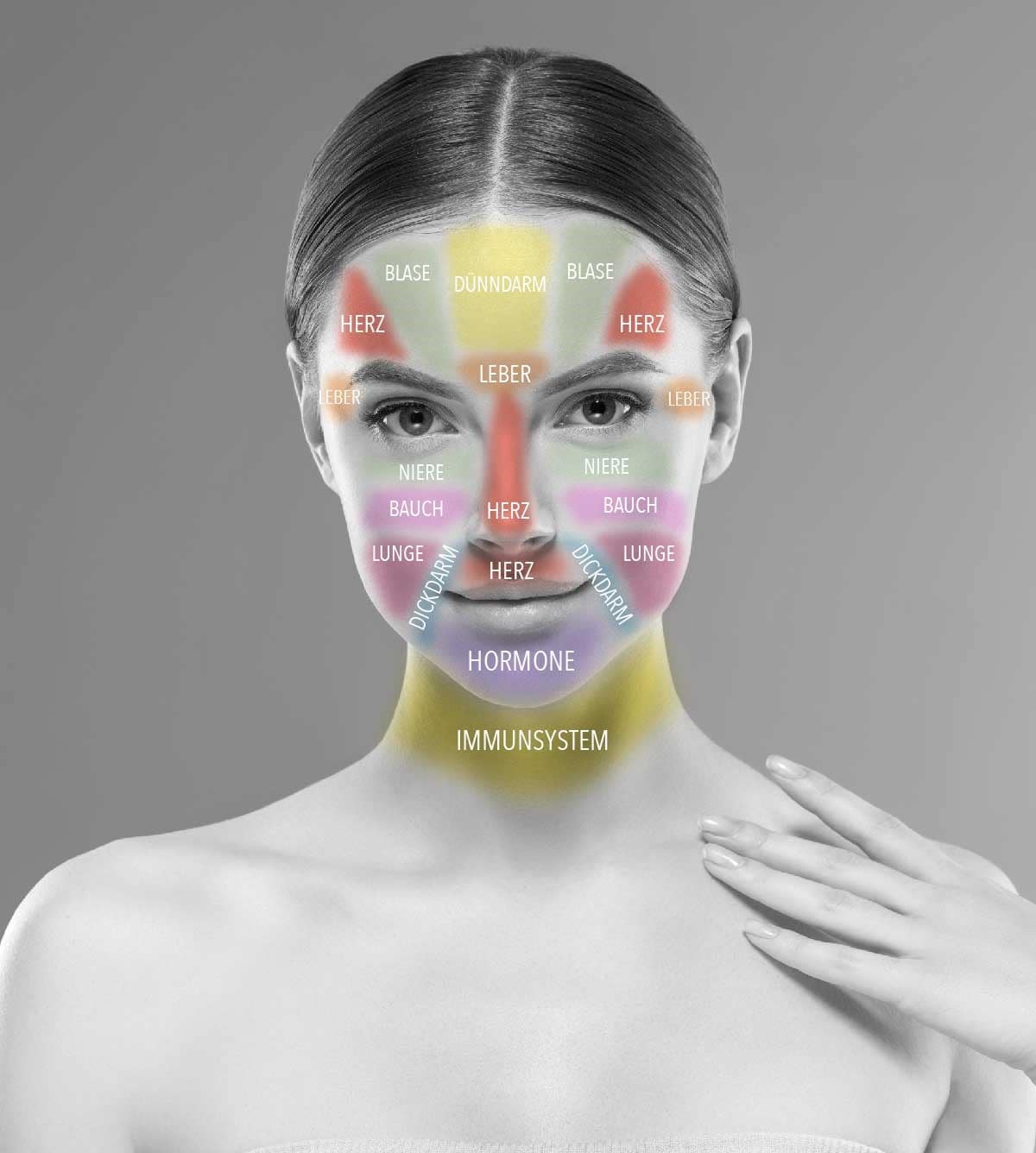 Face Mapping Hilfe bei unreiner Haut von dermaceutical