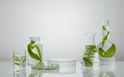 Spirulina Alge: Das musst du über den Wirkstoff in der Hautpflege wissen!